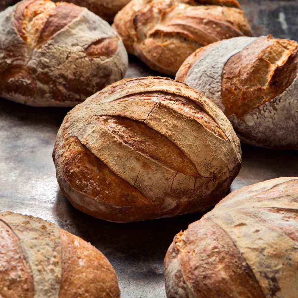 Roti Prancis Roti Prancis