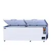 Freezer GEA Kapasitas Besar