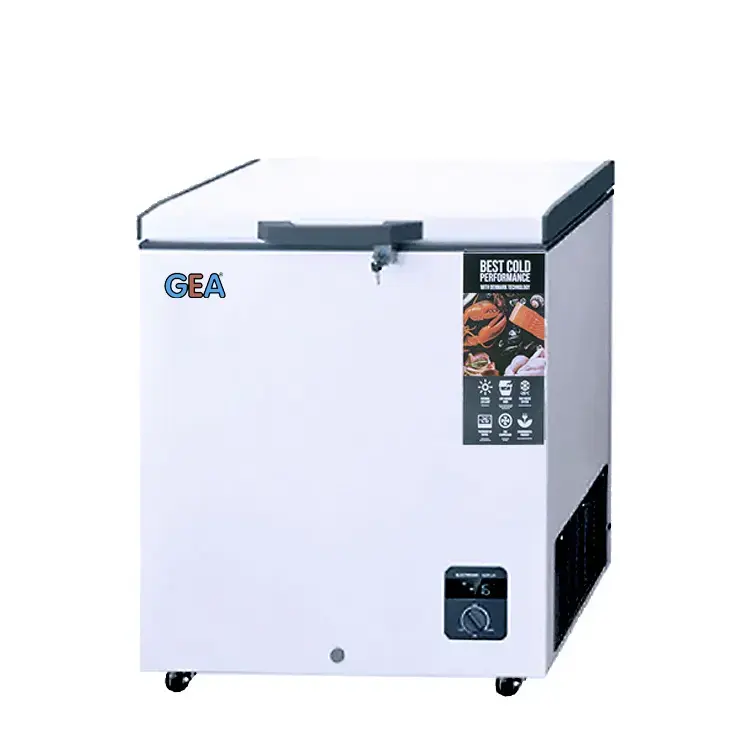 Freezer GEA Kecil