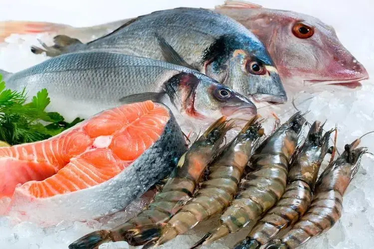 Ikan
