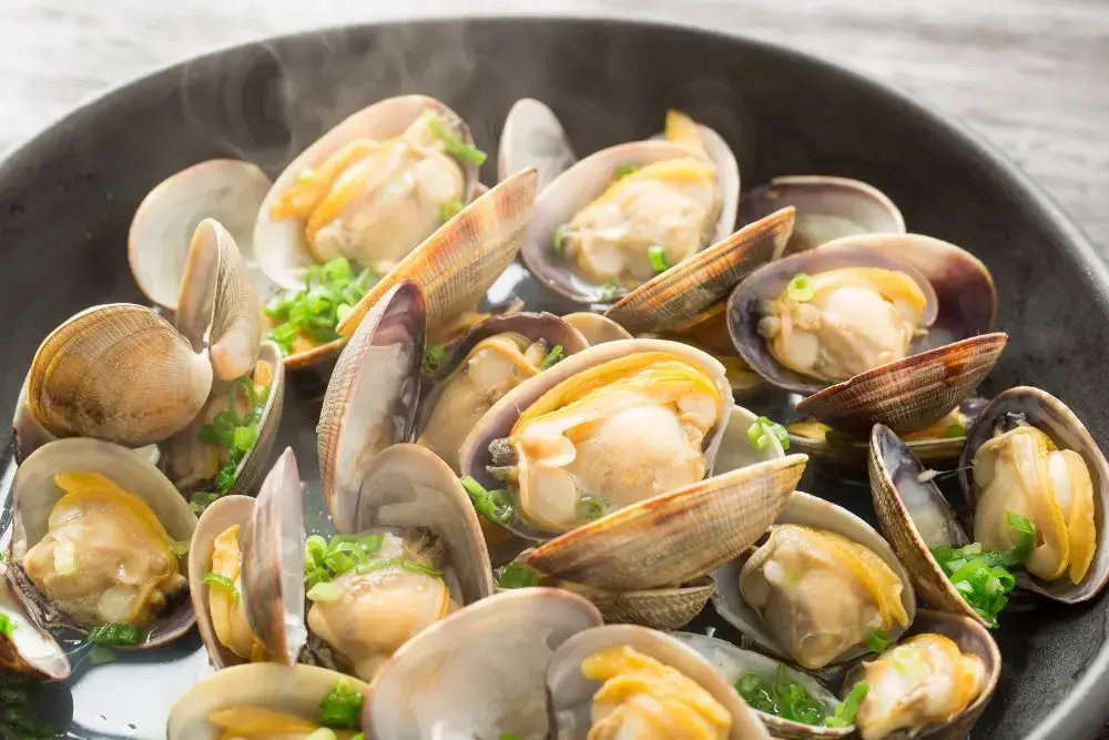 Seafood Steam