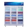 Showcase Minuman Dingin GEA 2 Pintu Murah