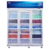 Showcase Pendingin Minuman GEA 2 Door