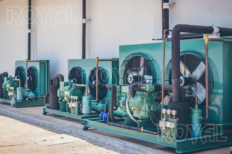 Cold Storage Room CDU Bitzer