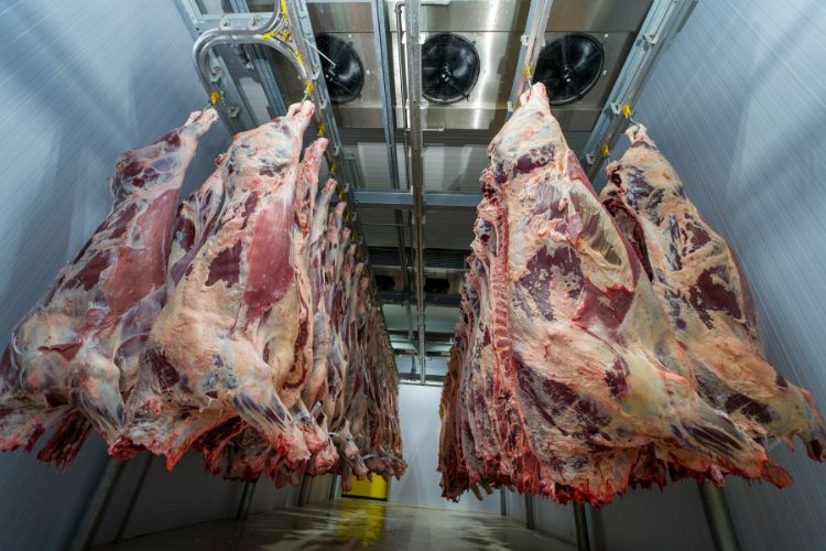Cold Storage Daging