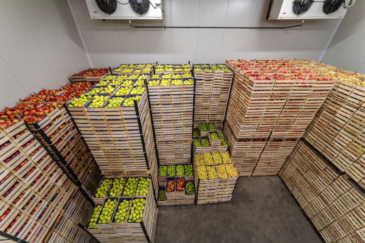 Cold Storage Fruit