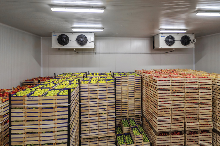 Coldroom Buah