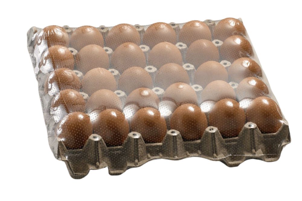 Mesin Shrink Tunnel Kemasan Telur