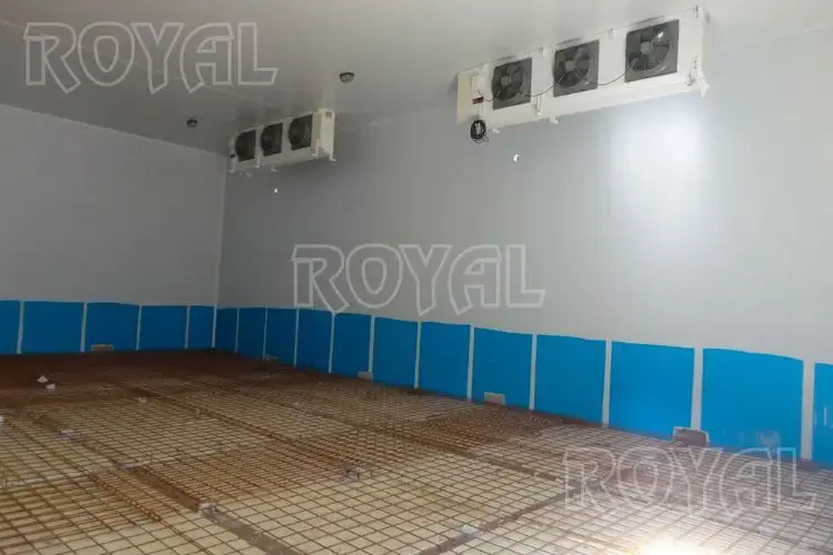 Project ROYAL 4