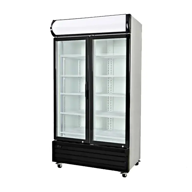 Showcase Cooler Starcool 2 Pintu