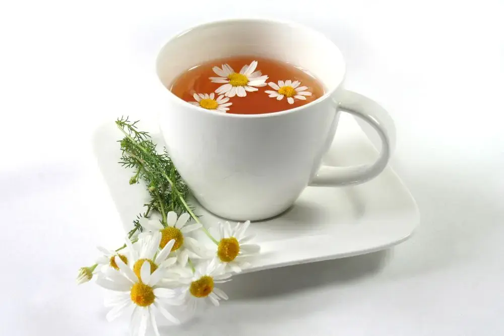 Teh Bunga